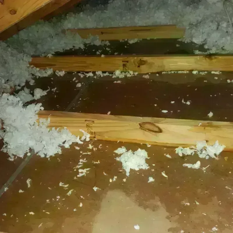 Attic Water Damage in Westover, AL