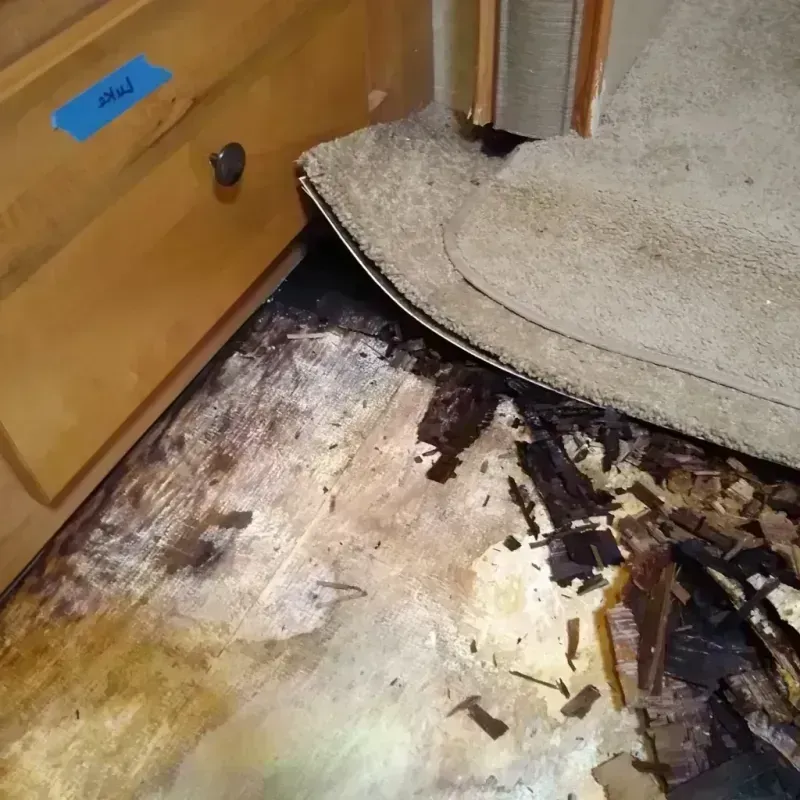 Wood Floor Water Damage in Westover, AL